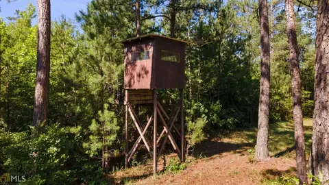 4351 County Rd 282, Five Points, AL 36855 photo 36