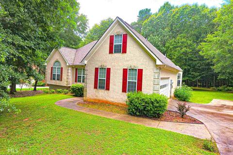11577 New Hope Rd, Hampton, GA 30228 photo 2