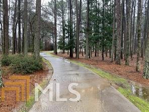 89 E Main St, Hampton, GA 30228 photo 61