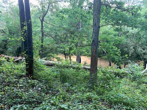 411 Cheek Rd, Monroe, GA 30655 photo 6