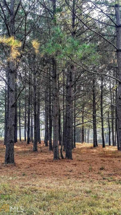 411 Cheek Rd, Monroe, GA 30655 photo 16