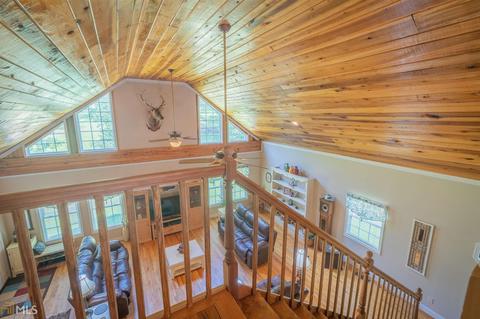 305 River Run Trl, Carnesville, GA 30521 photo 10