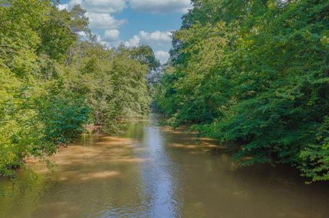 305 River Run Trl, Carnesville, GA 30521 photo 43