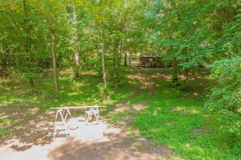 305 River Run Trl, Carnesville, GA 30521 photo 41