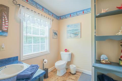 305 River Run Trl, Carnesville, GA 30521 photo 17