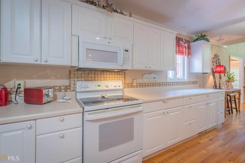 305 River Run Trl, Carnesville, GA 30521 photo 16