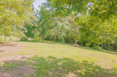 305 River Run Trl, Carnesville, GA 30521 photo 47