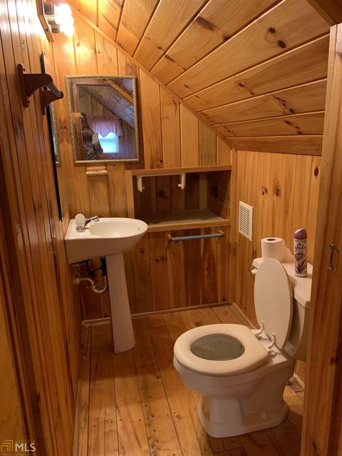 415 Old River Rd, Cornelia, GA 30531 photo 30