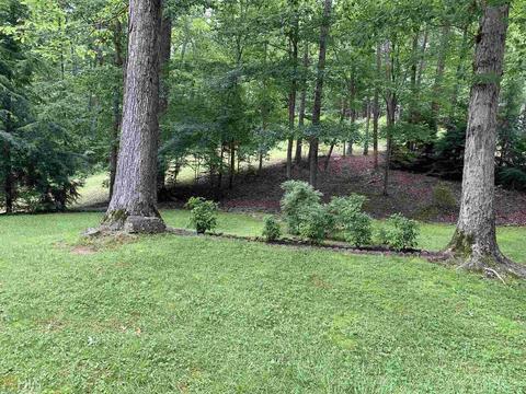 415 Old River Rd, Cornelia, GA 30531 photo 32