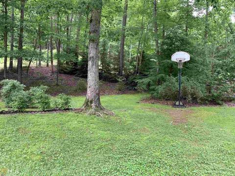 415 Old River Rd, Cornelia, GA 30531 photo 33