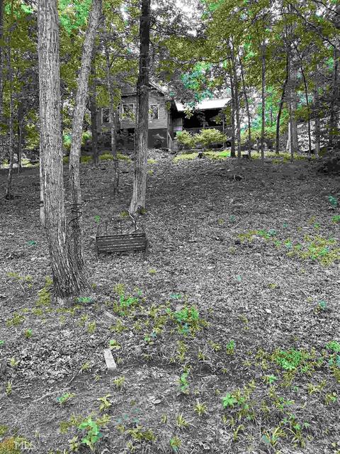 415 Old River Rd, Cornelia, GA 30531 photo 39