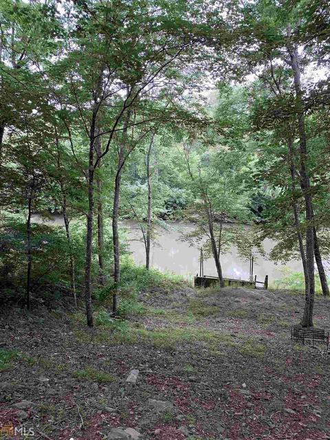 415 Old River Rd, Cornelia, GA 30531 photo 41