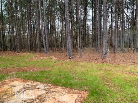 65 Skylar, Covington, GA 30016 photo 2