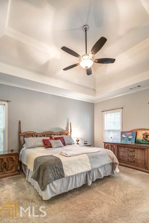 701 Brooks Woolsey Rd, Brooks, GA 30205 photo 23