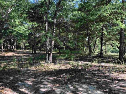 1100 Harmon Rd, Temple, GA 30179 photo 38