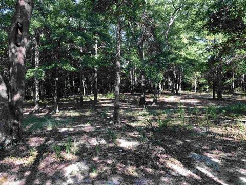 1100 Harmon Rd, Temple, GA 30179 photo 39