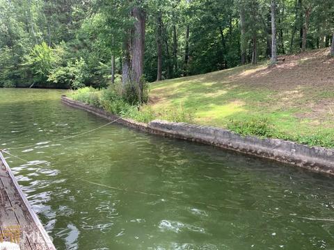 370 Conley Ditch Rd, Covington, GA 30014 photo 34