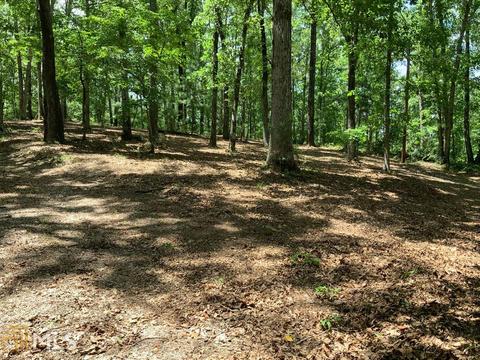 370 Conley Ditch Rd, Covington, GA 30014 photo 20
