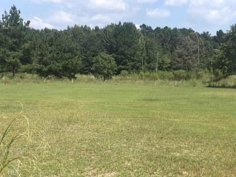 4305 Settlement Rd, Register, GA 30452 photo 2