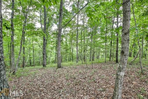879 Human Rd, Bowman, GA 30624 photo 17