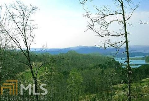 595 Edgewater Trl, Toccoa, GA 30577 photo 50