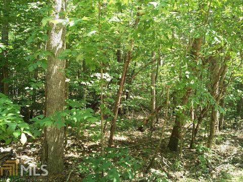 3906 Pine Tree Ln, Gainesville, GA 30501 photo 2