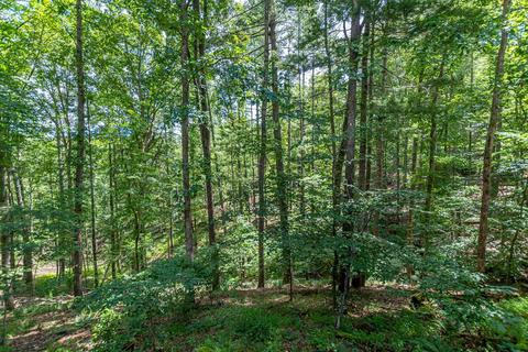 944 Deer Track Rd, Cornelia, GA 30531 photo 8