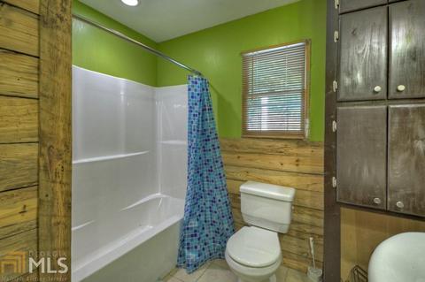 411 Devils Den Rd, Epworth, GA 30541 photo 19