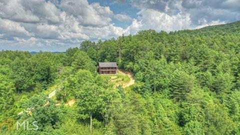 411 Devils Den Rd, Epworth, GA 30541 photo 26