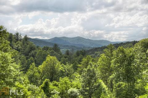 411 Devils Den Rd, Epworth, GA 30541 photo 2