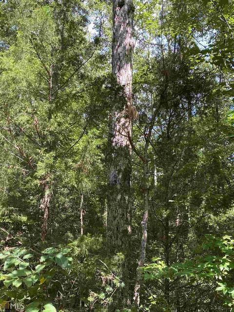 350 Salem Rd, Lagrange, GA 30240 photo 14