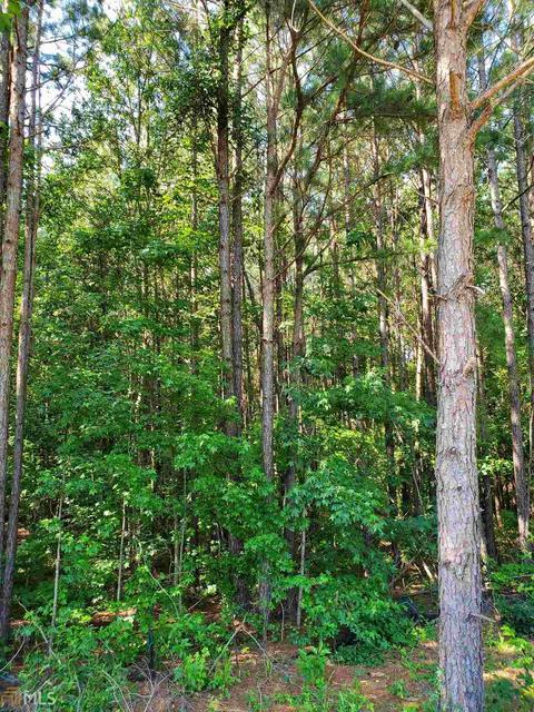 165 Kendall Ln, Covington, GA 30014 photo 6