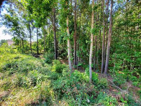 165 Kendall Ln, Covington, GA 30014 photo 4