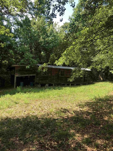 1419 Shepard Rd, Carnesville, GA 30521 photo 5