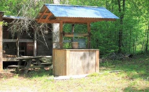 1419 Shepard Rd, Carnesville, GA 30521 photo 20