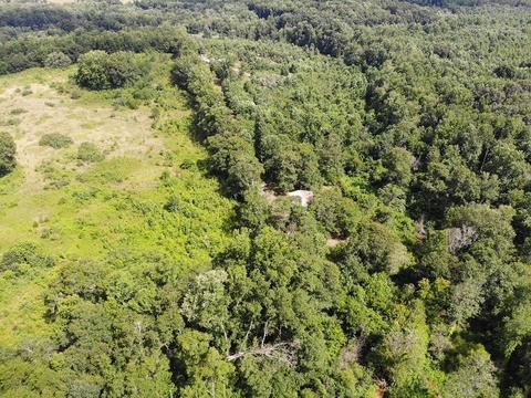 1419 Shepard Rd, Carnesville, GA 30521 photo 15
