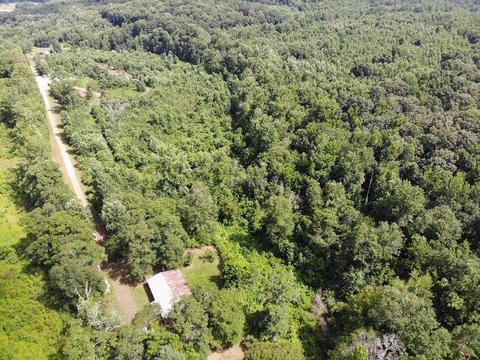 1419 Shepard Rd, Carnesville, GA 30521 photo 28