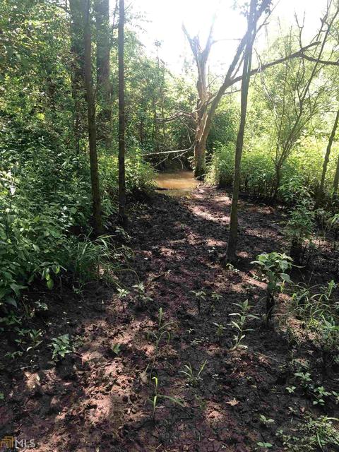 1419 Shepard Rd, Carnesville, GA 30521 photo 8