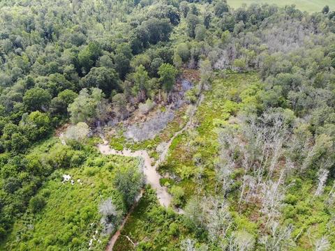1419 Shepard Rd, Carnesville, GA 30521 photo 17