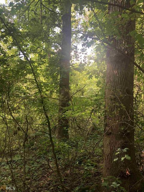 1419 Shepard Rd, Carnesville, GA 30521 photo 10