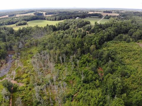 1419 Shepard Rd, Carnesville, GA 30521 photo 14