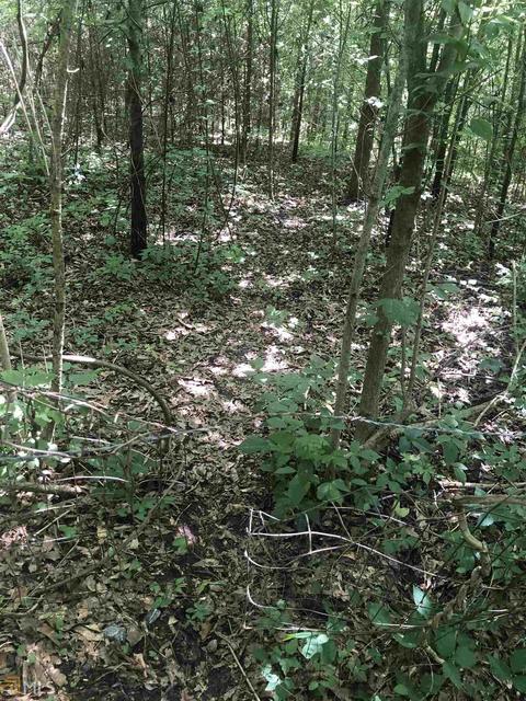 1419 Shepard Rd, Carnesville, GA 30521 photo 7