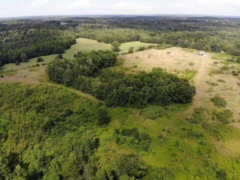 1419 Shepard Rd, Carnesville, GA 30521 photo 13