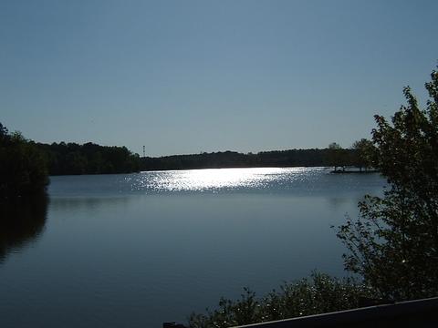 636 Oakville Trl, Hampton, GA 30228 photo 3