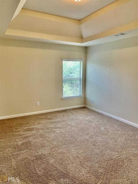 313 Hitt Trce, Mcdonough, GA 30252 photo 22