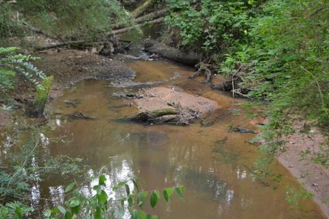 160 Redland Bend Rd, Temple, GA 30179 photo 29