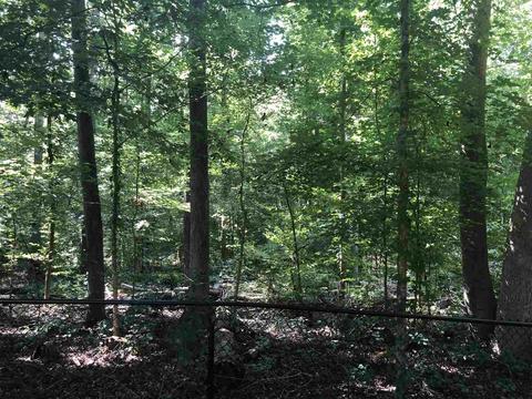 221 Hudson River Dr, Commerce, GA 30530 photo 31