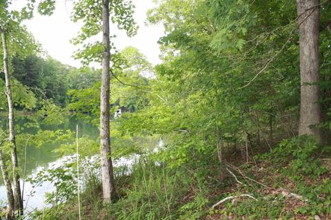 313 Kimberly Dr, Toccoa, GA 30577 photo 11