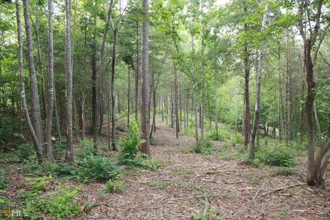 313 Kimberly Dr, Toccoa, GA 30577 photo 4