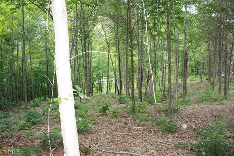 313 Kimberly Dr, Toccoa, GA 30577 photo 5